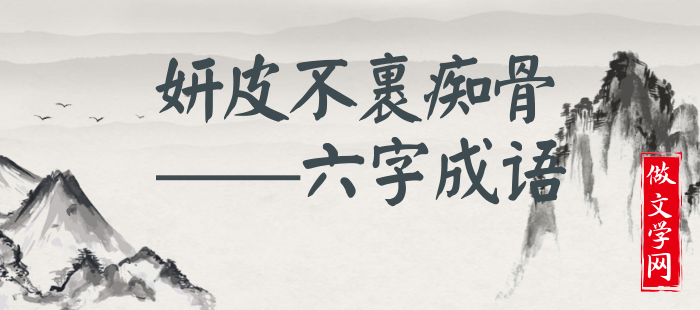 妍皮不裹痴骨