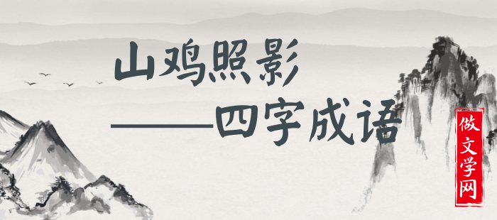 山鸡照影